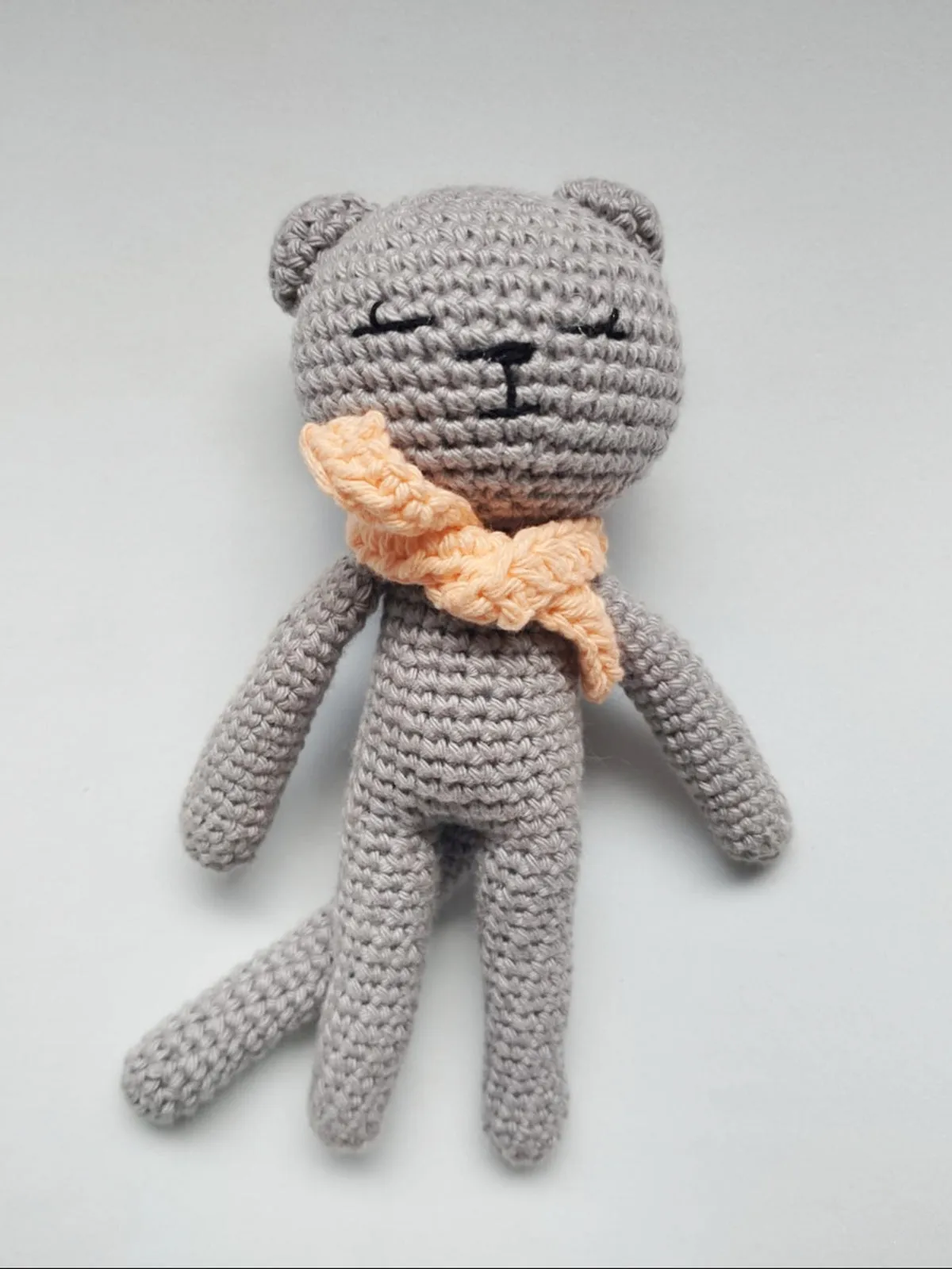 Stylish Cat